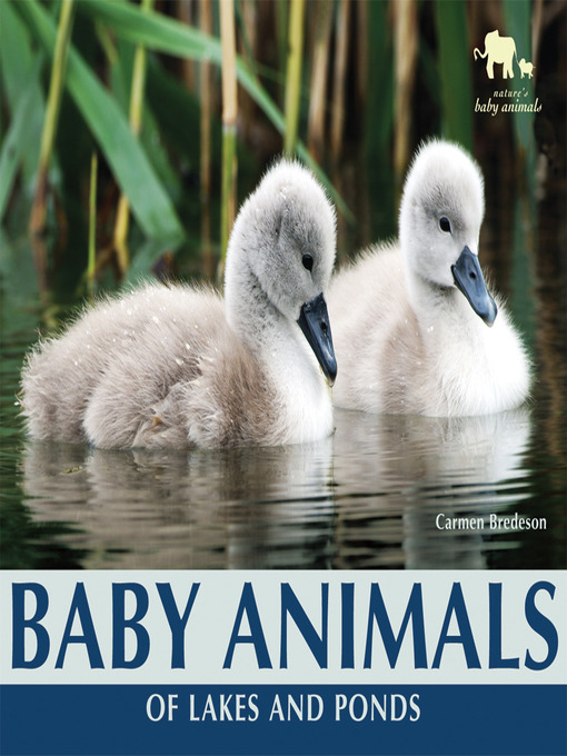 Title details for Baby Animals of Lakes and Ponds by Carmen Bredeson - Wait list